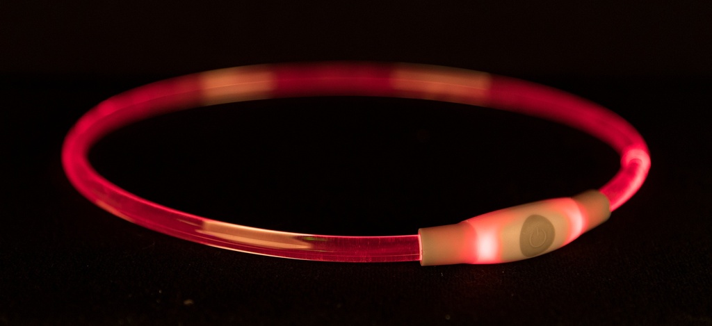 Flash lichtring USB, S–M: 40 cm/ø 8 mm, veelkleurig