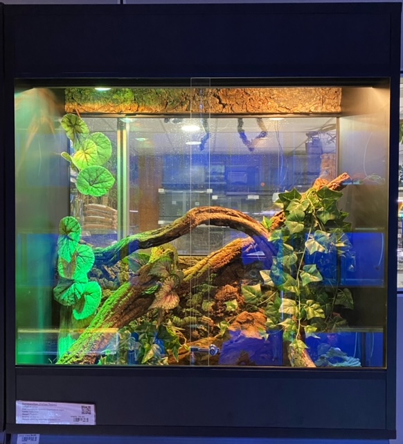 # Terrarium + inrichting 100Bx110Hx50