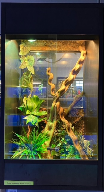 # Terrarium + inrichting 75Bx110Hx50D