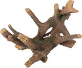 AD DELIA WORTELS 26x18x17CM