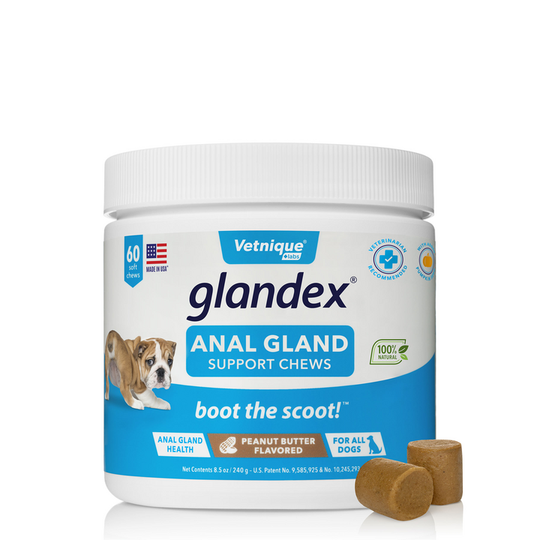 Glandex Soft Chew 240 g (60 pcs) (word van eeuwen analzan)