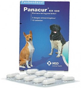 Panacur KH 500mg hond/kat+ Giardia