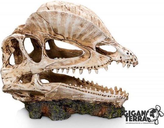 # Giganterra Dinosaurus