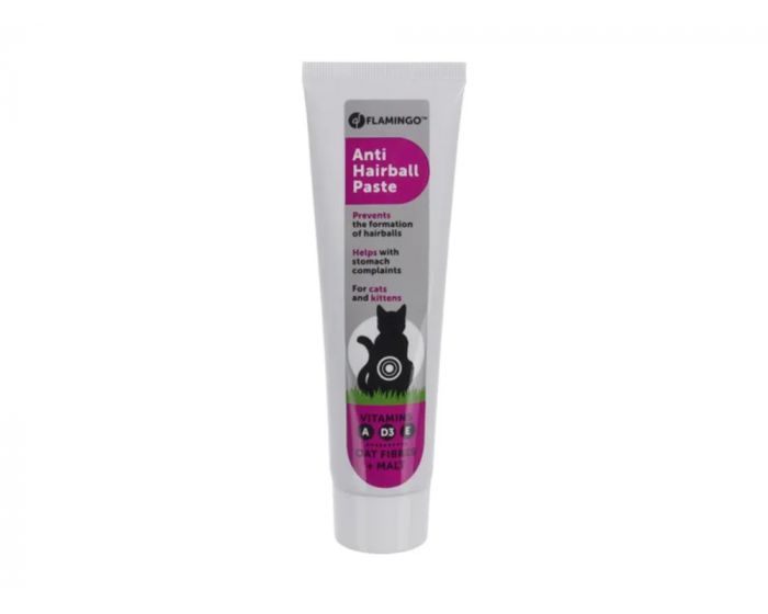 ANTI-HAARBALPASTA DAGGI 100GR