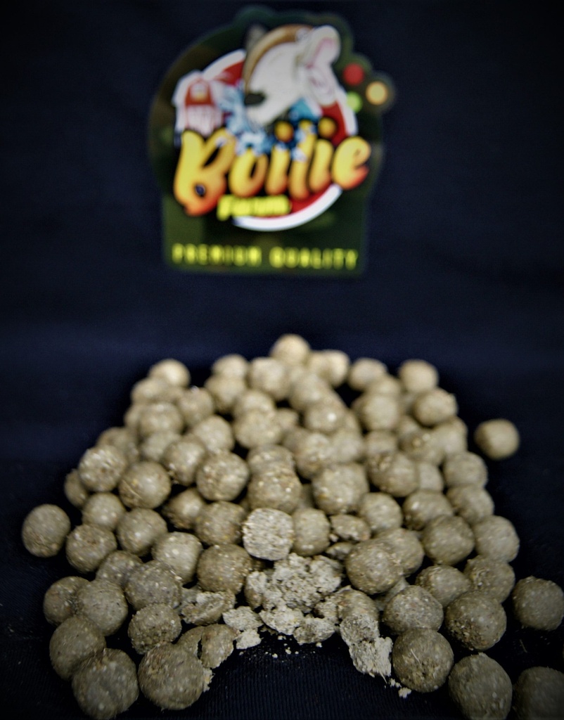 # ! BoiliefarmDark Fish Monstercrab 20mm