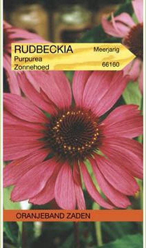 OBZ Rudbeckia, Zonnehoed Echinacea
