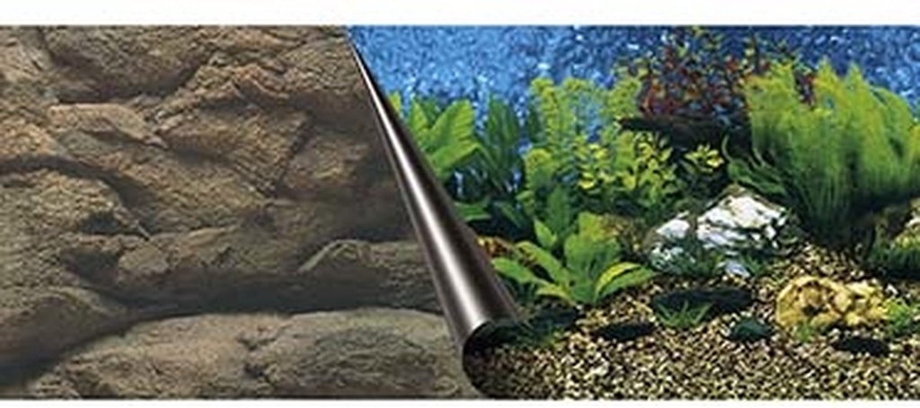 POSTER ACHTERWAND SEA & ROCK 60x30cm