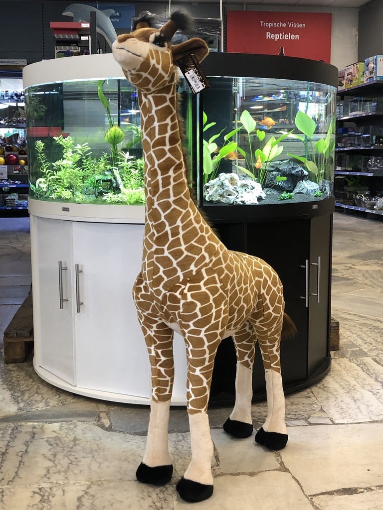 # Giraffe pluche staand 125 cm