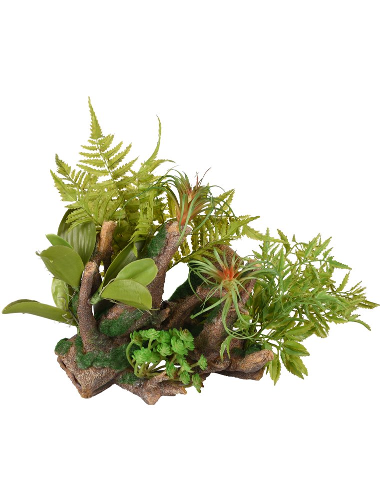 # AD DIO WORTELS+PLANT 36x31x33CM