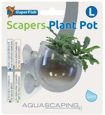 SF SCAPERS GLASS PLANT POT