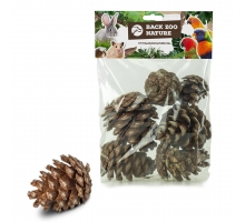BACK ZOO NATURE FOREST PINE CONES 6 PC.