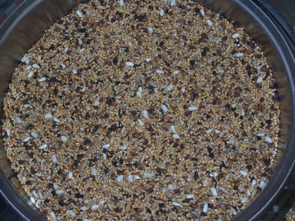 PARKIETEN GROF  20kg