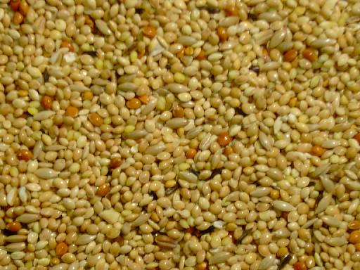 TROPISCH ZAAD    20 kg.