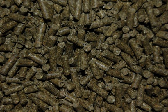 Cavia Korrel - Super vit - 20 KG - anti stress