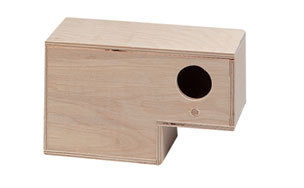 GOLD AMADINE BROEDBLOK