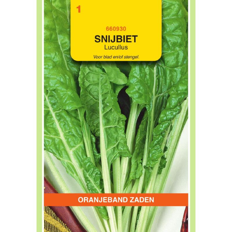 OBZ Snijbiet Lucullus
