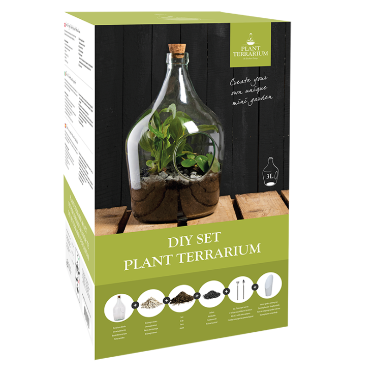 # DHZ open plant terrarium set 3 liter