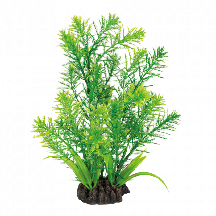 SF ART PLANT 25CM HOTTONIA