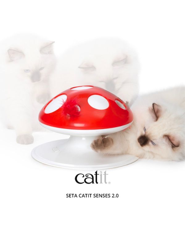 CA Senses 2.0 Mushroom 24x24x15,5cm rood/wit