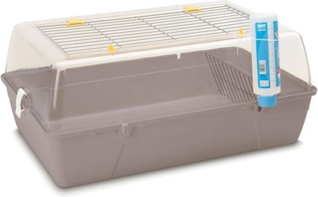 # KONIJNENKOOI RODY CAVIA GRIJS