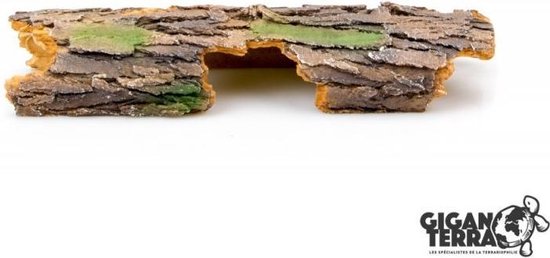 Giganterra Schors Stam 29x10x5 cm