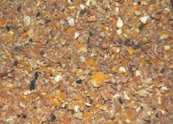 Wielink Scharrel Meel 20 KG