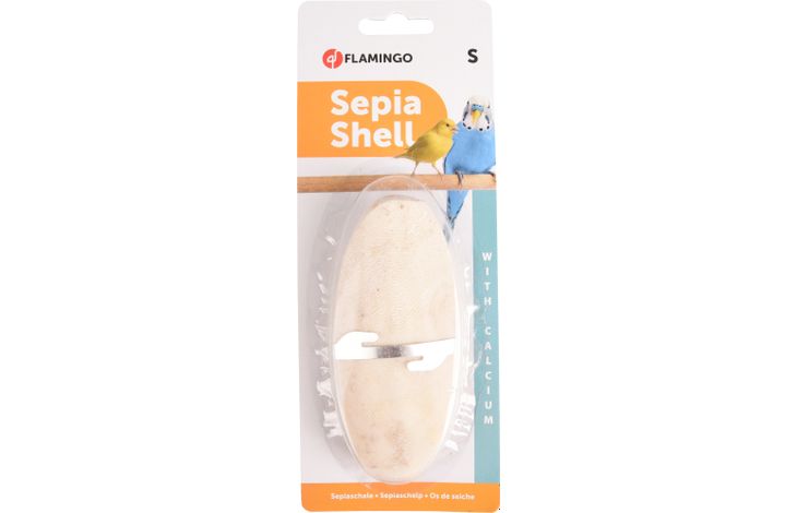 SEPIA SCHELP 11CM