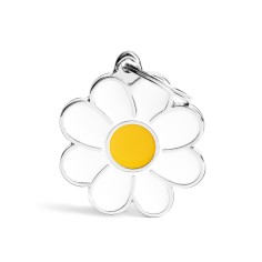 BIG DAISY