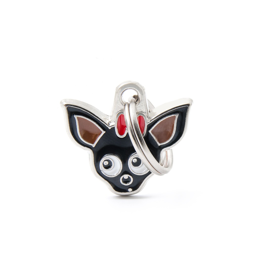 BLACK CHIHUAHUA