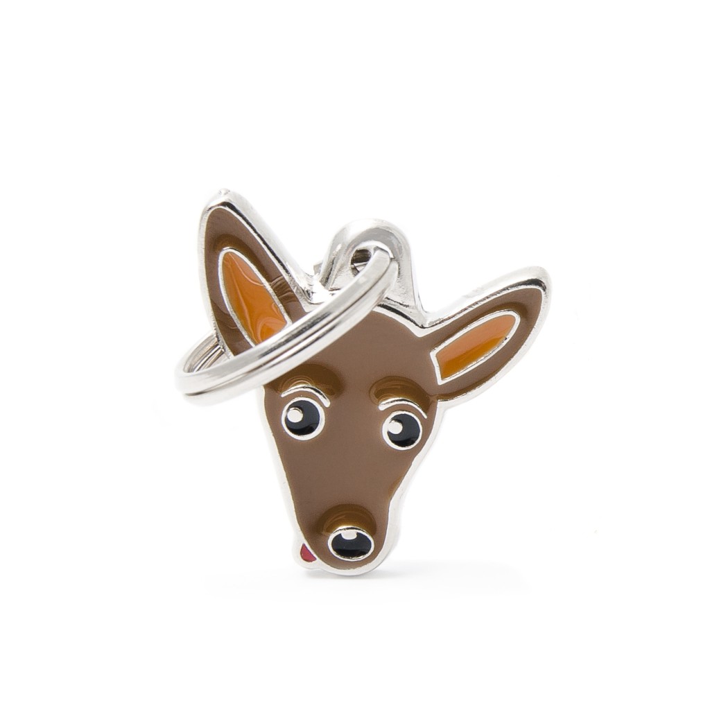 BROWN PINSCHER