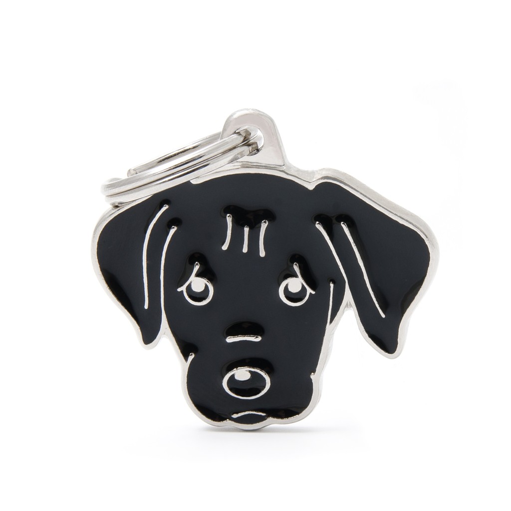 BLACK LABRADOR