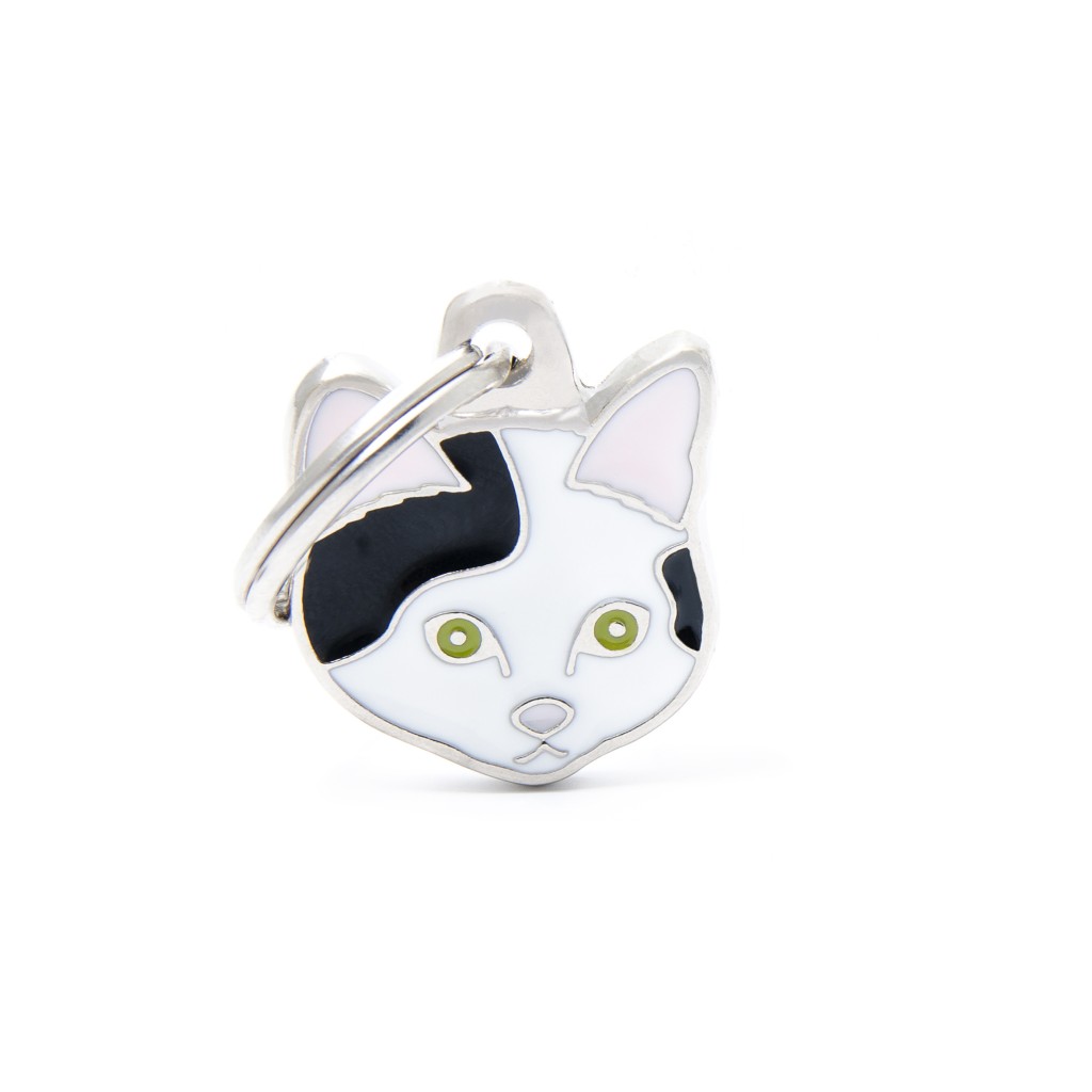 BLACK AND WHITE EUROPEAN SHORTHAIR