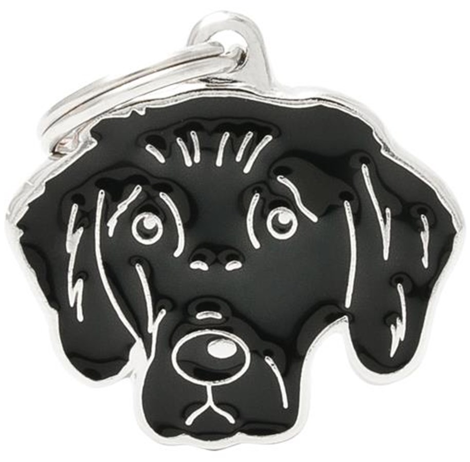 FLAT COATED RETRIVER