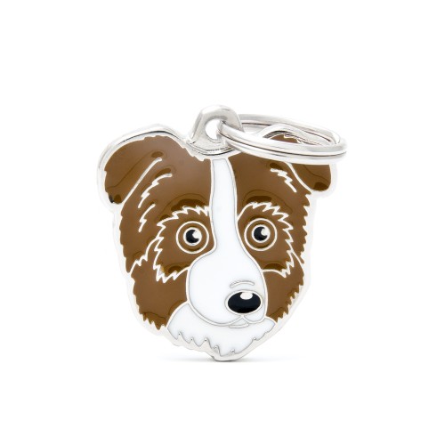 BROWN AUSTRALIAN SHEPERD