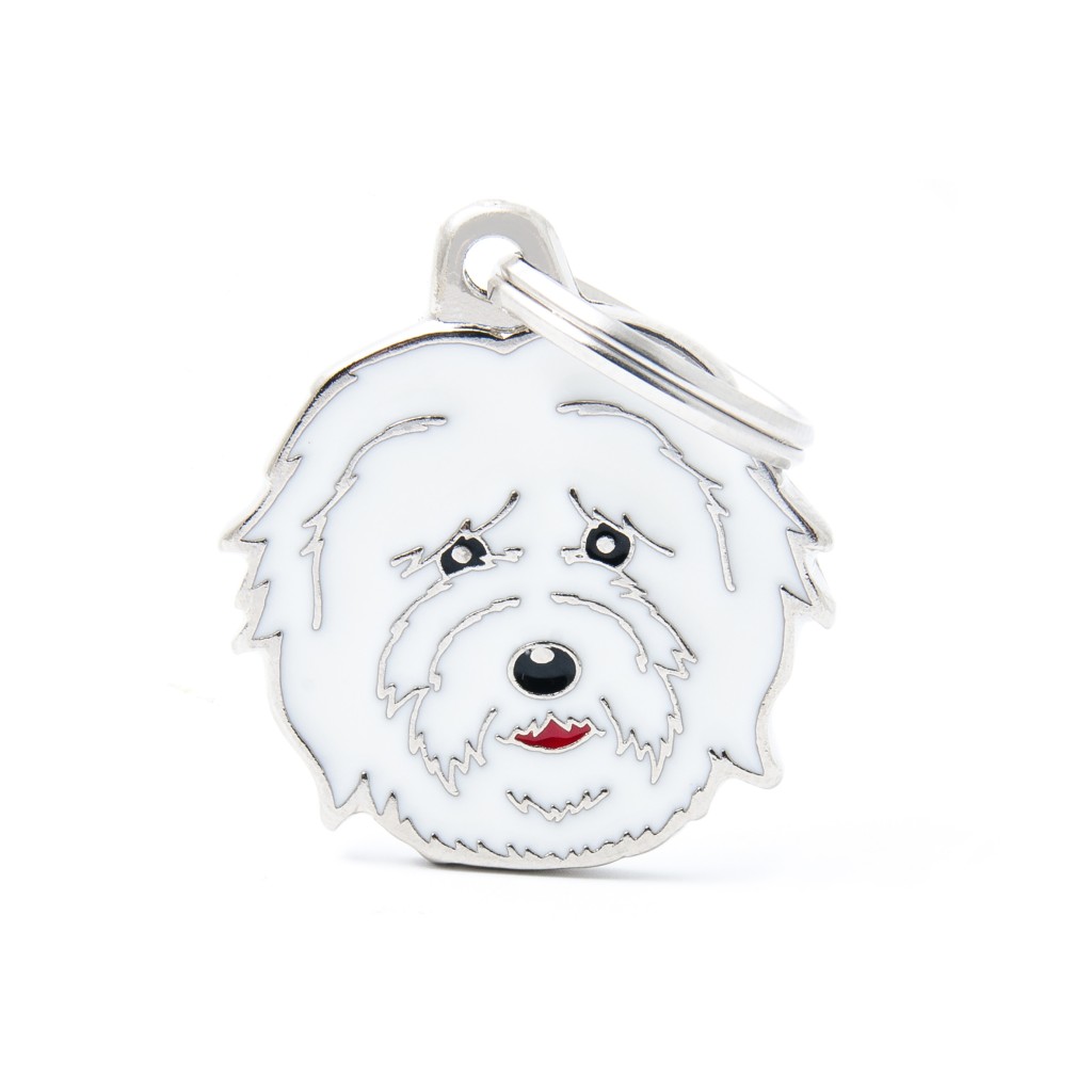 COTON DE TULEAR