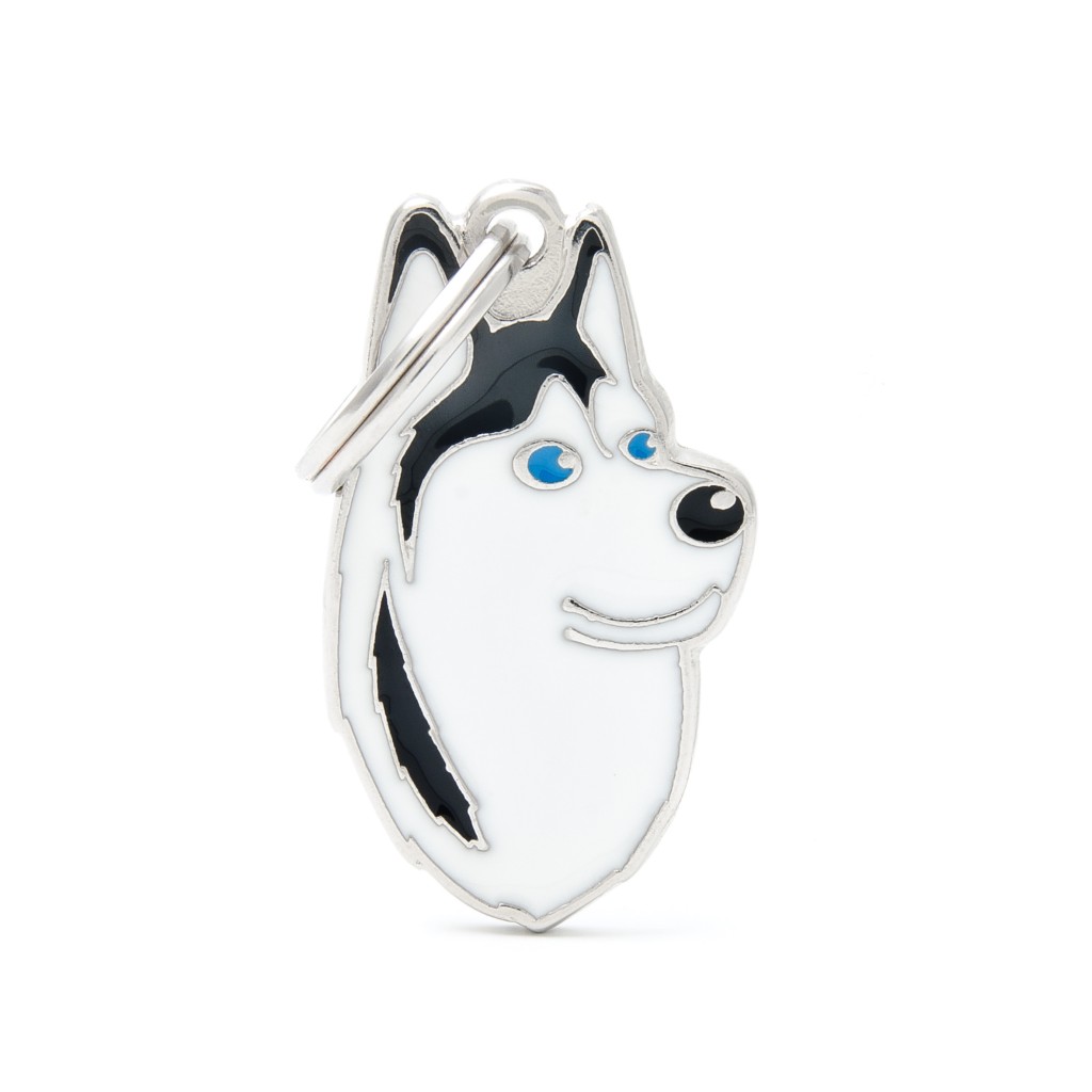 BLACK AND WHITE SIBERIAN HUSKY