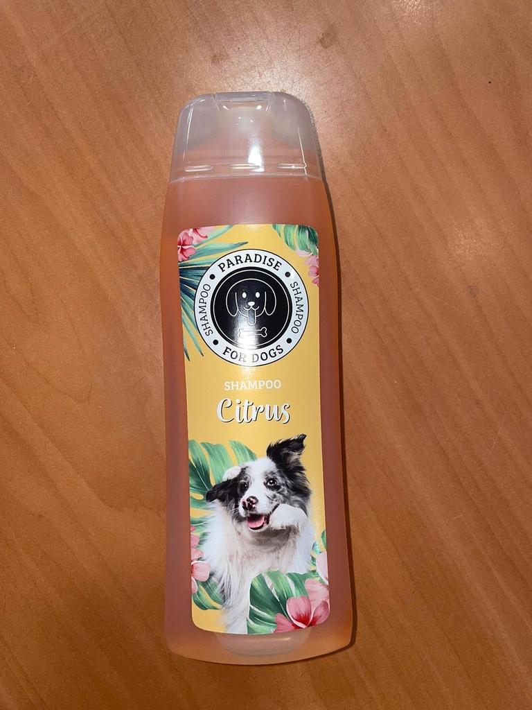 # !! PFD Shampoo Citrus 300 ml
