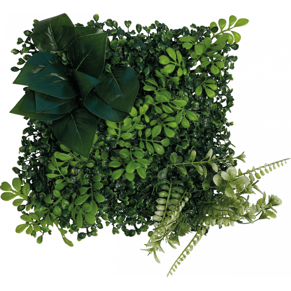 Repto plant achterwand mat 25x25 cm 2
