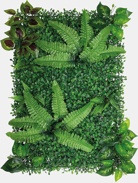 Repto plant achterwand mat 40-60cm 1