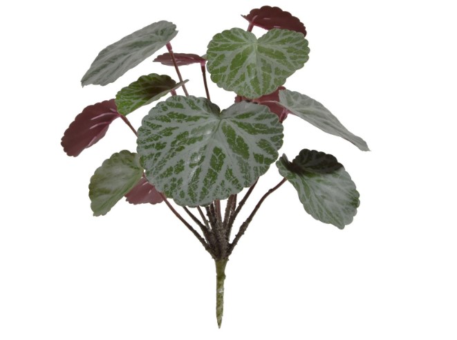 Saxifraga kunstplant 25cm groen/rood