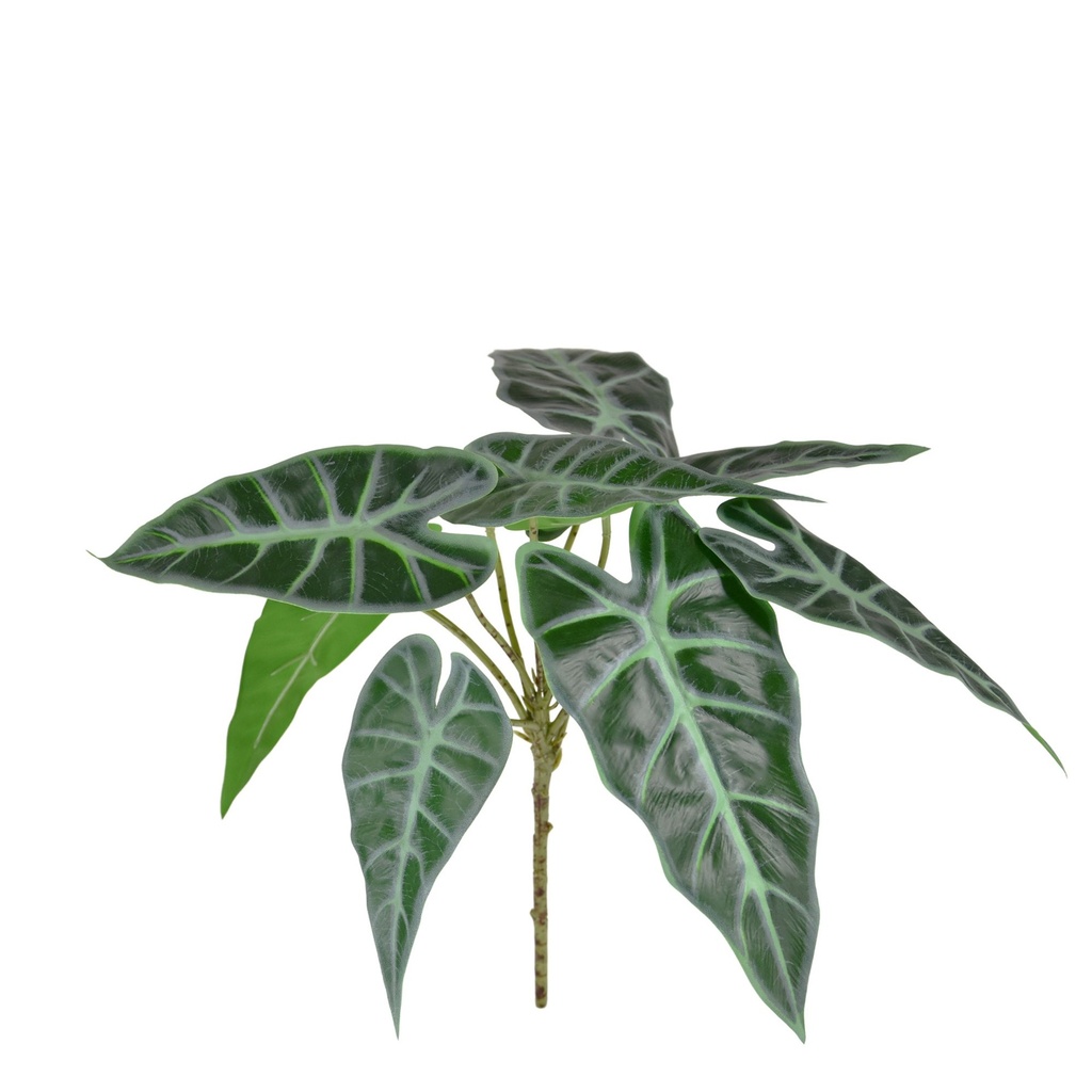 Alocasia Polly kunstplant 30 cm