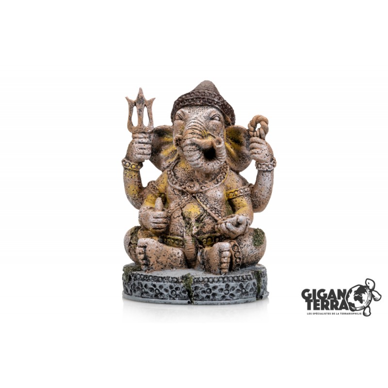 Giganaqua Ganesh