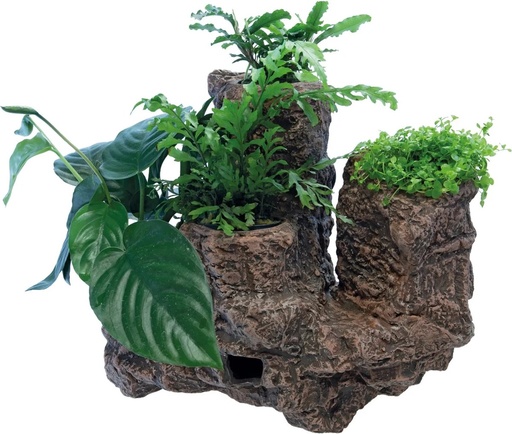 [A4040680] SF SCAPERS FLOATING ROCK PLANTY L