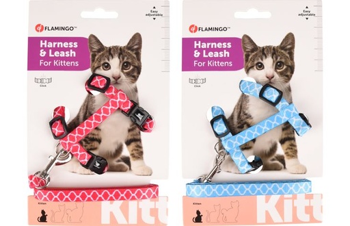 [560933] KITTENHARNAS + LIJN AMSI 15-25CM 10 MM ASSORTIMENT