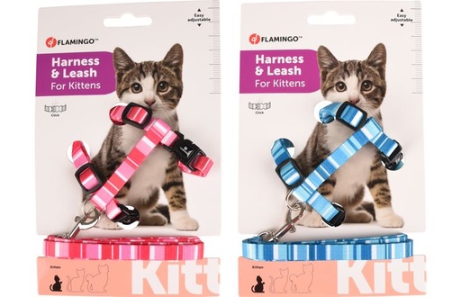 [560926] KITTENHARNAS + LIJN ALFRY 15-25CM 10MM ASSORTIMENT