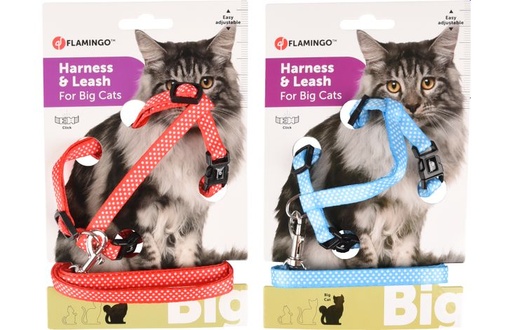 [560924] KATTENHARNAS + LIJN GROTE KAT AIWA 25-40CM 10MM ASSORTIMENT