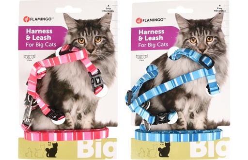 [560929] KATTENHARNAS + LIJN GROTE KAT ALFRY 25-40CM 10MM ASSORTIMENT