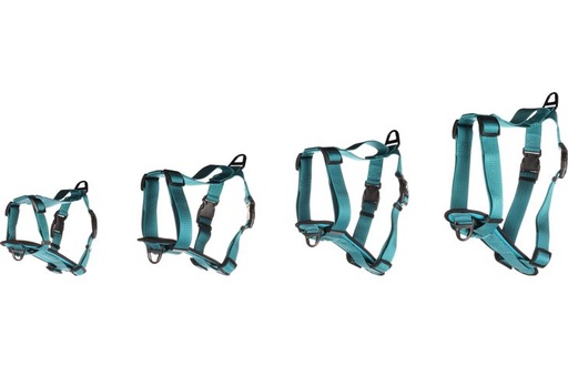 [521710] H-HARNAS ZORBA TURQUOISE S 40-55CM 25MM