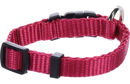 [519917] HALSBAND ZIGGI KERSENROOD XL 55-75C M 40MM