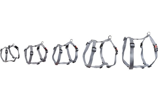 [519857] H-HARNAS ZIGGI GRIJS XS 25-40CM 10M M